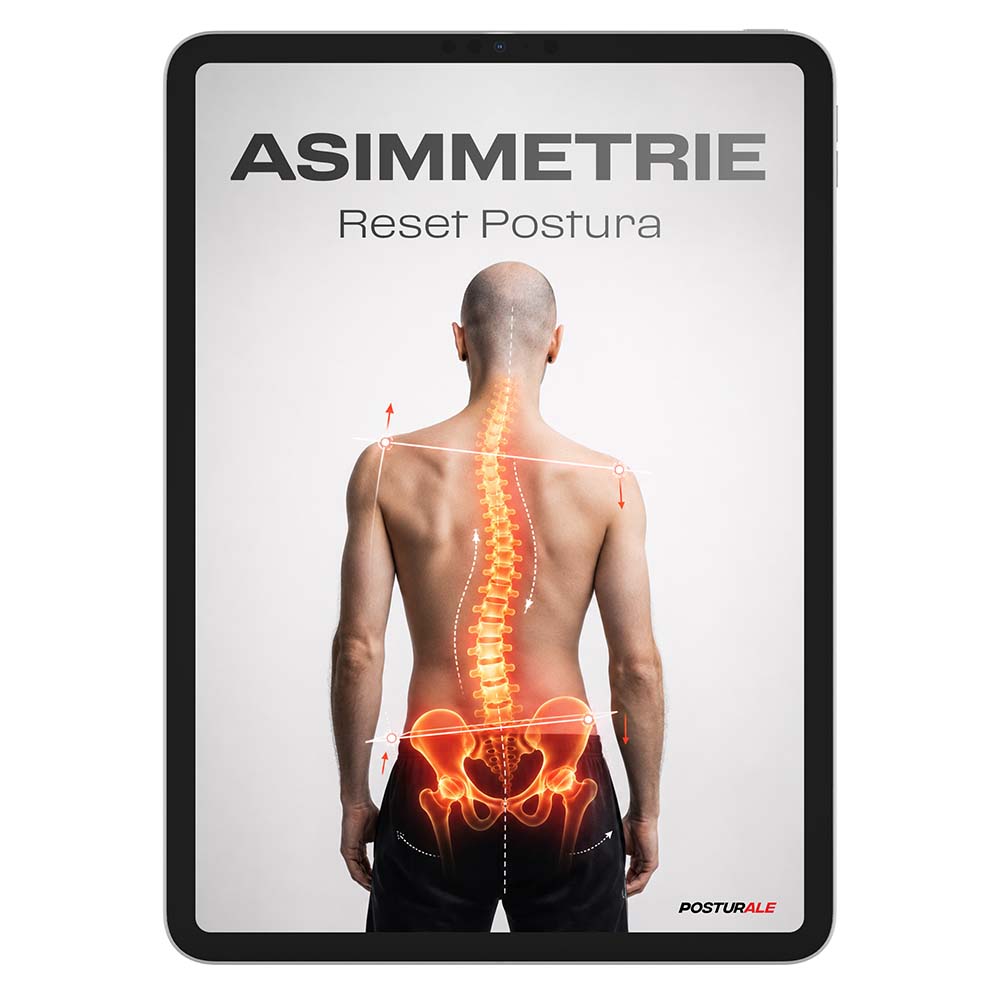 Reset Asimmetrie